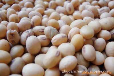【廠家專業(yè)生產(chǎn)銷售高蛋白 高品質(zhì)的黃大豆批發(fā)】價格,廠家,圖片,豆類作物,大豐市干春糧貿(mào)-