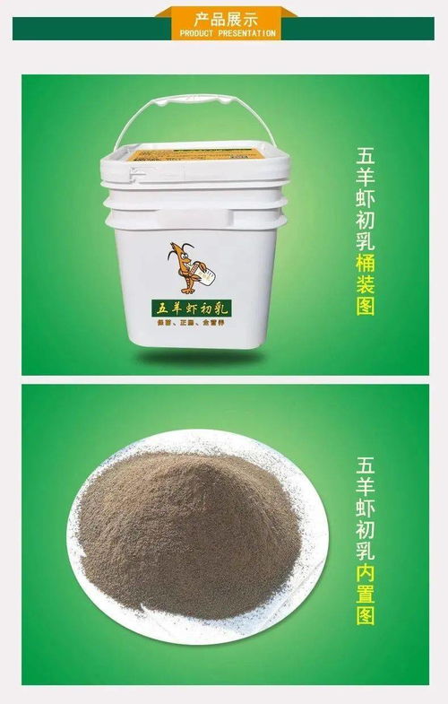 冬棚放苗時,養殖高手直言 沒有它不放苗
