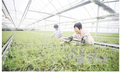 大豐日報數字報